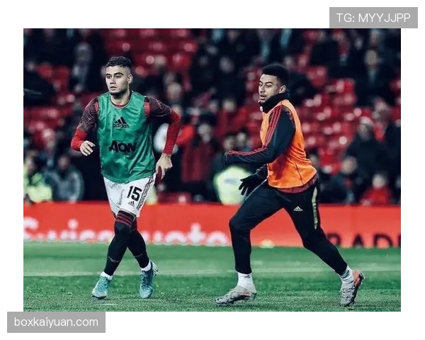 B费的创造力与终结效率为何难以兼得